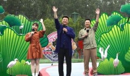 港澳江湖爆料视频大全最新,揭秘江湖风云录